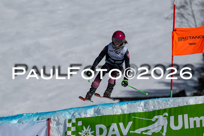 DSV Actanol Schülercup Alpin U14 RS+, 31.01.2026