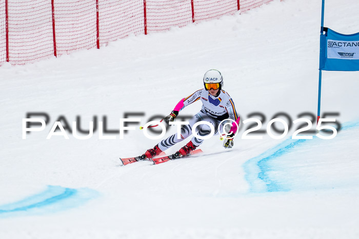 FIS SG Damen + Herren, Kandahar 01.02.2026