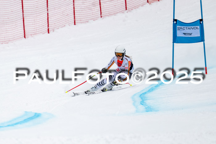 FIS SG Damen + Herren, Kandahar 01.02.2026