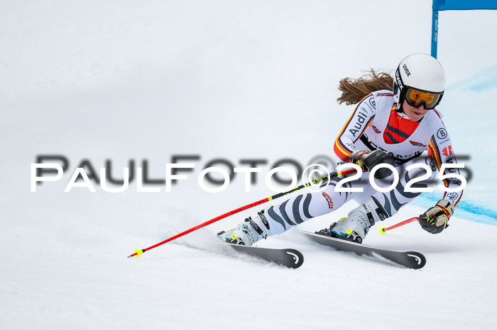 FIS SG Damen + Herren, Kandahar 01.02.2026