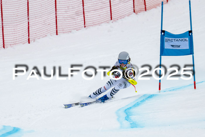 FIS SG Damen + Herren, Kandahar 01.02.2026