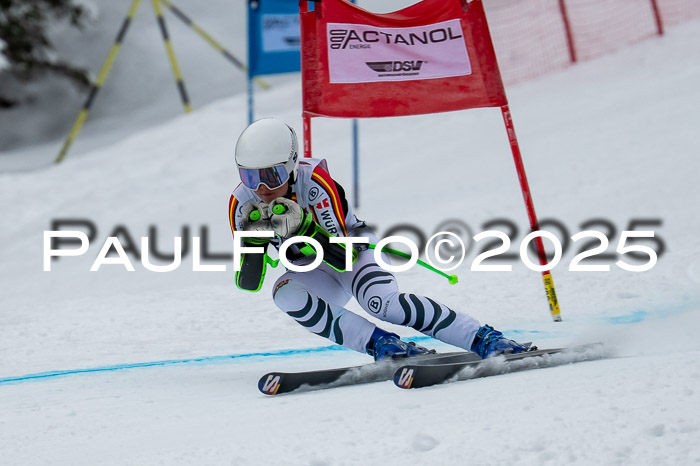 FIS SG Damen + Herren, Kandahar 01.02.2026