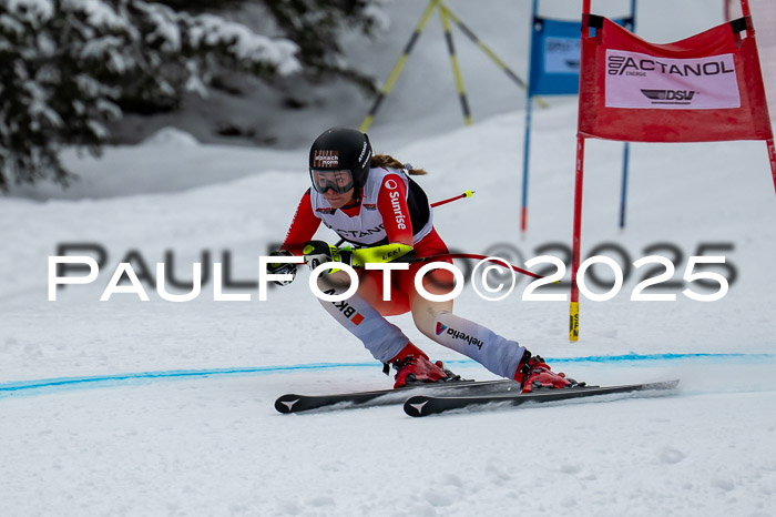 FIS SG Damen + Herren, Kandahar 01.02.2026