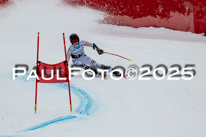 FIS SG Damen + Herren, Kandahar 01.02.2026