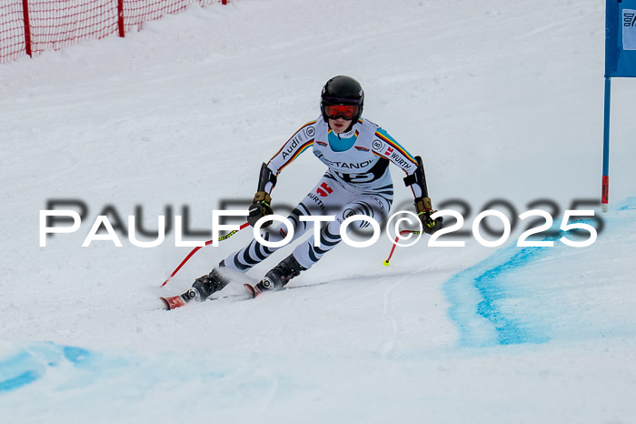 FIS SG Damen + Herren, Kandahar 01.02.2026