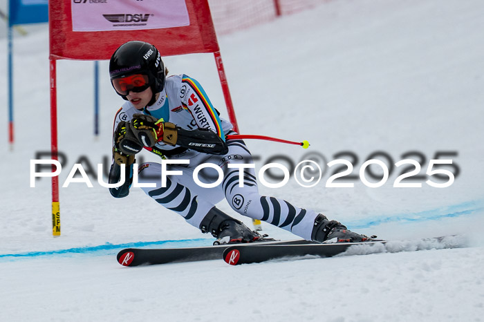 FIS SG Damen + Herren, Kandahar 01.02.2026