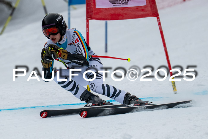 FIS SG Damen + Herren, Kandahar 01.02.2026