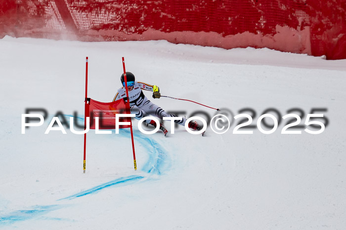 FIS SG Damen + Herren, Kandahar 01.02.2026