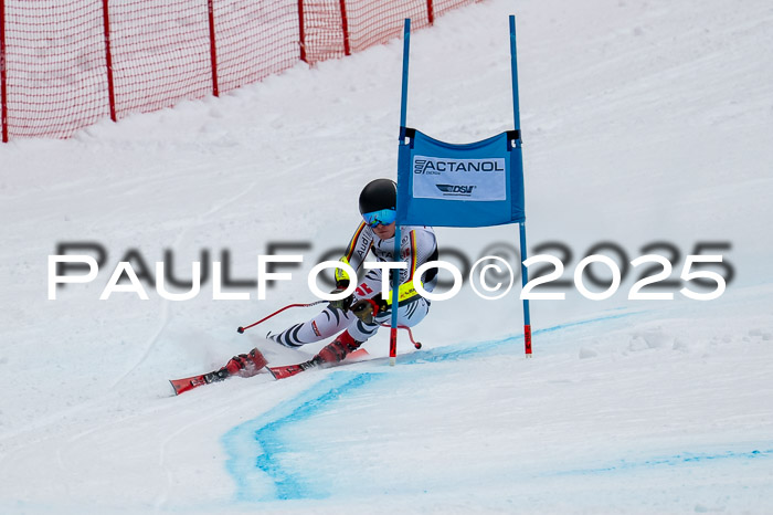 FIS SG Damen + Herren, Kandahar 01.02.2026