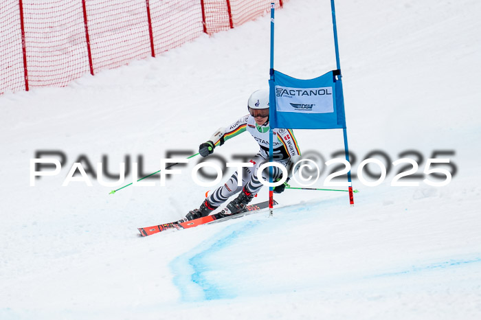 FIS SG Damen + Herren, Kandahar 01.02.2026