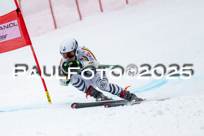 FIS SG Damen + Herren, Kandahar 01.02.2026