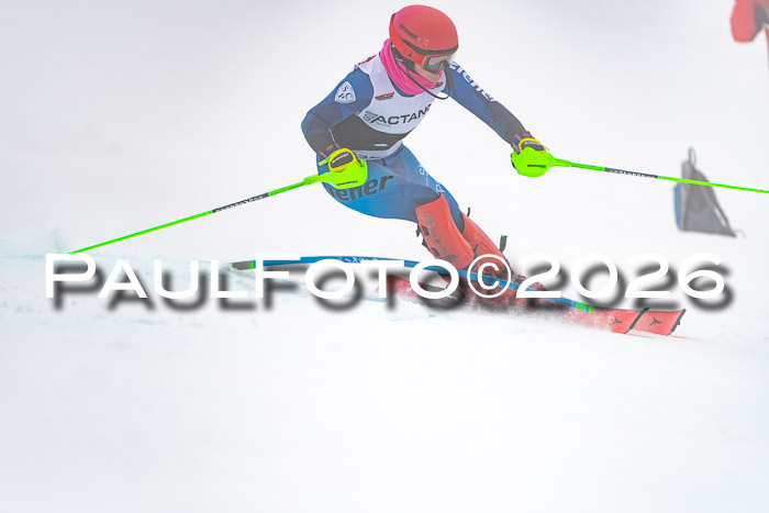 DSV Actanol Schülercup U16 SL