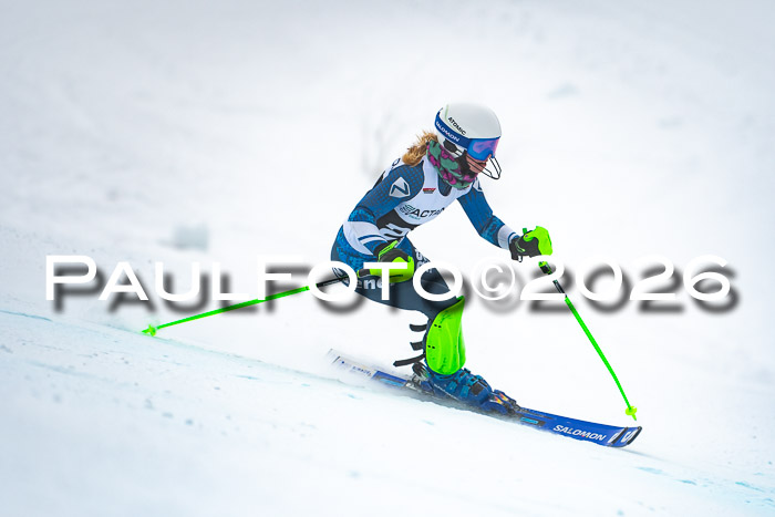 DSV Actanol Schülercup U16 SL