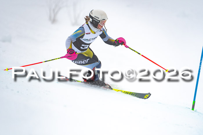 DSV Actanol Schülercup U16 SL