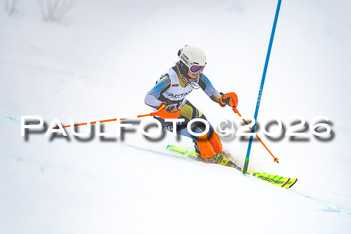 DSV Actanol Schülercup U16 SL