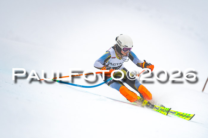 DSV Actanol Schülercup U16 SL