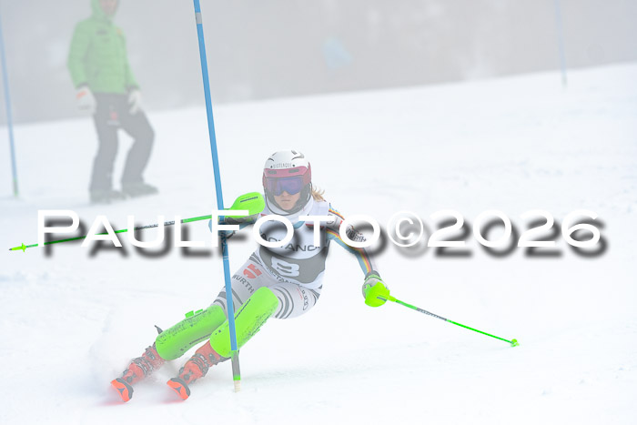 DSV Actanol Schülercup U16 SL