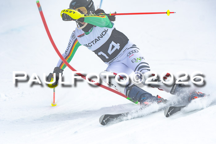 DSV Actanol Schülercup U16 SL