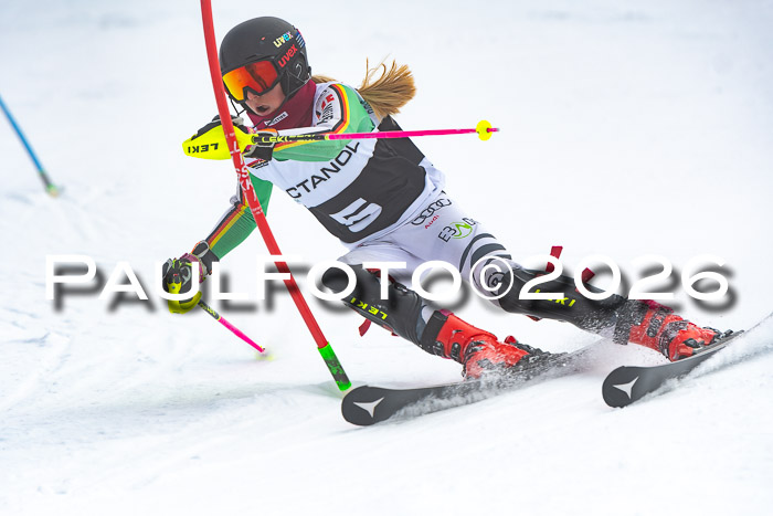 DSV Actanol Schülercup U16 SL