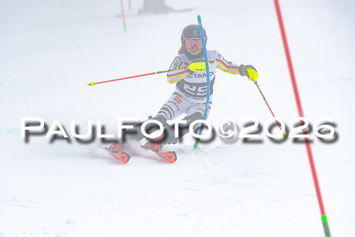 DSV Actanol Schülercup U16 SL