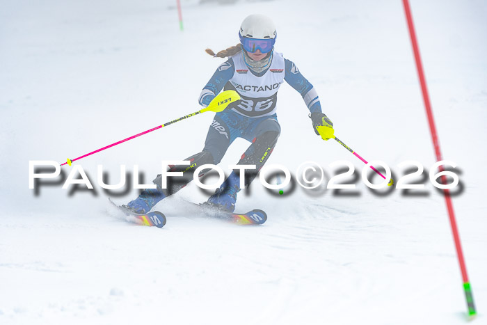 DSV Actanol Schülercup U16 SL