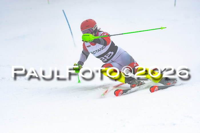 DSV Actanol Schülercup U16 SL