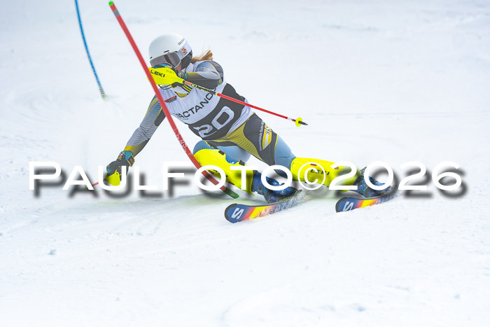 DSV Actanol Schülercup U16 SL