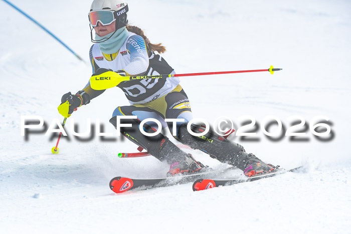 DSV Actanol Schülercup U16 SL