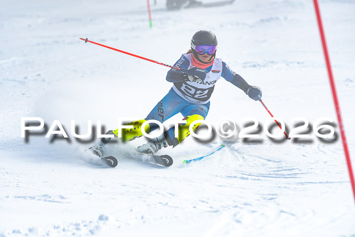 DSV Actanol Schülercup U16 SL