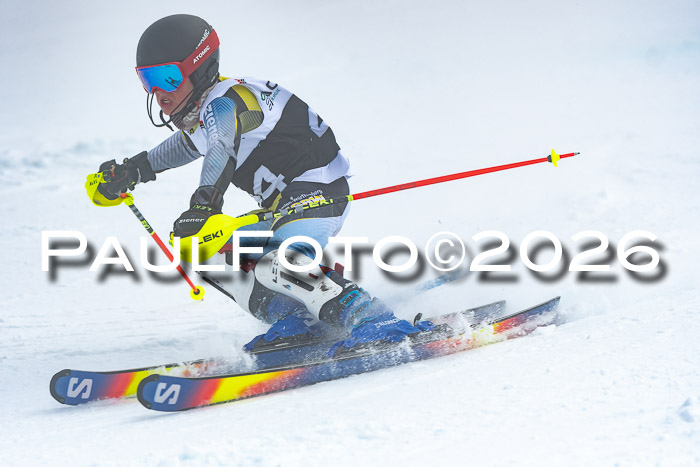 DSV Actanol Schülercup U16 SL