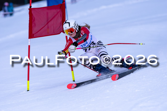Kreiscup Weilheim/Schopngau 08.02.2026