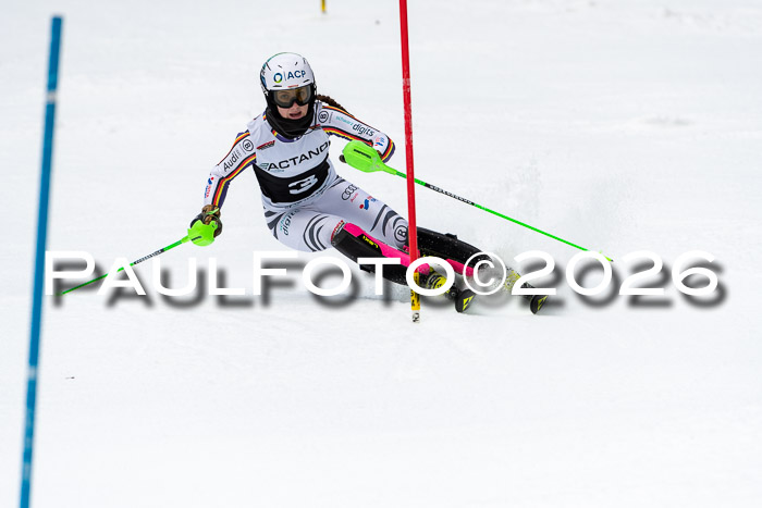FIS Slalom + NJC Damen + FIS Herren 13.02.2026