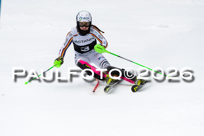 FIS Slalom + NJC Damen + FIS Herren 13.02.2026