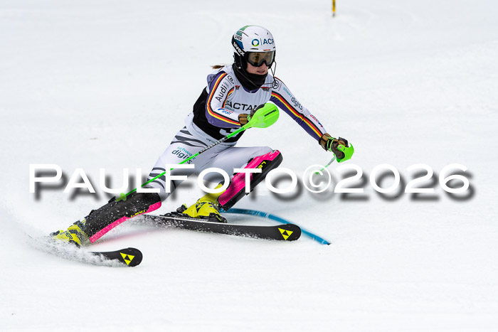FIS Slalom + NJC Damen + FIS Herren 13.02.2026