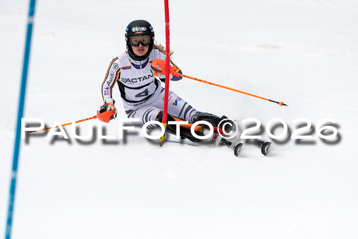 FIS Slalom + NJC Damen + FIS Herren 13.02.2026