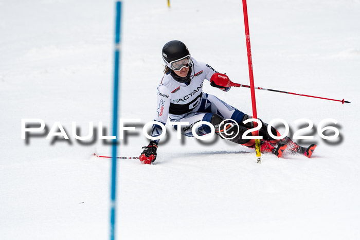 FIS Slalom + NJC Damen + FIS Herren 13.02.2026