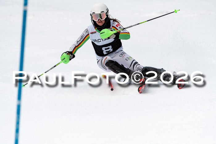 FIS Slalom + NJC Damen + FIS Herren 13.02.2026