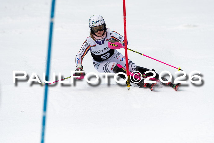 FIS Slalom + NJC Damen + FIS Herren 13.02.2026
