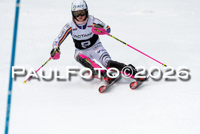 FIS Slalom + NJC Damen + FIS Herren 13.02.2026