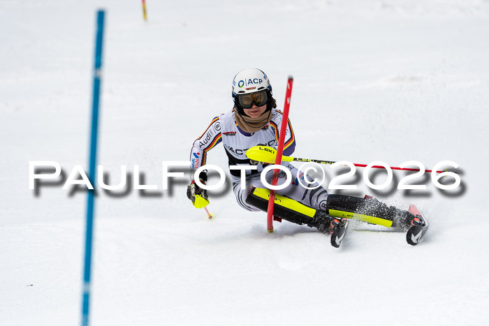 FIS Slalom + NJC Damen + FIS Herren 13.02.2026