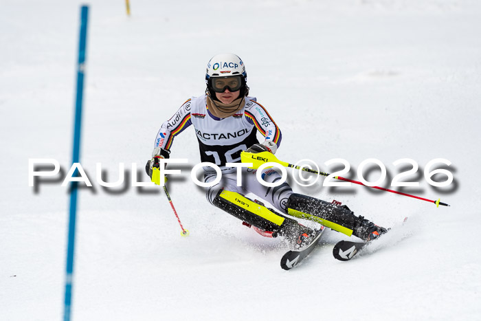 FIS Slalom + NJC Damen + FIS Herren 13.02.2026