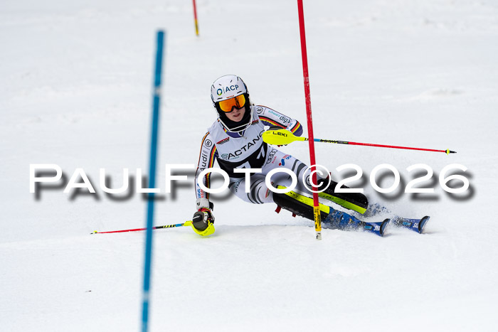 FIS Slalom + NJC Damen + FIS Herren 13.02.2026