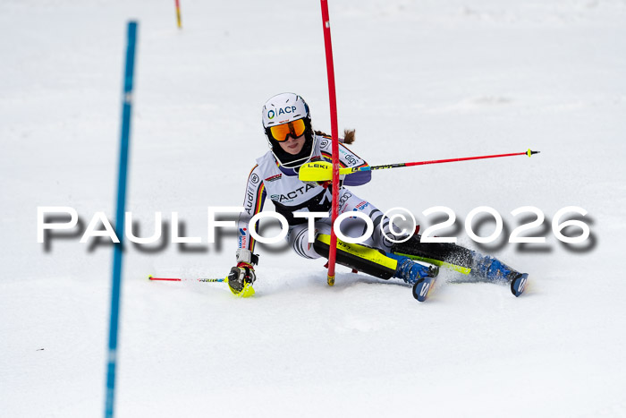 FIS Slalom + NJC Damen + FIS Herren 13.02.2026