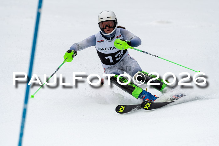 FIS Slalom + NJC Damen + FIS Herren 13.02.2026