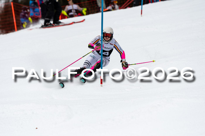 FIS Slalom + NJC Damen + FIS Herren 13.02.2026