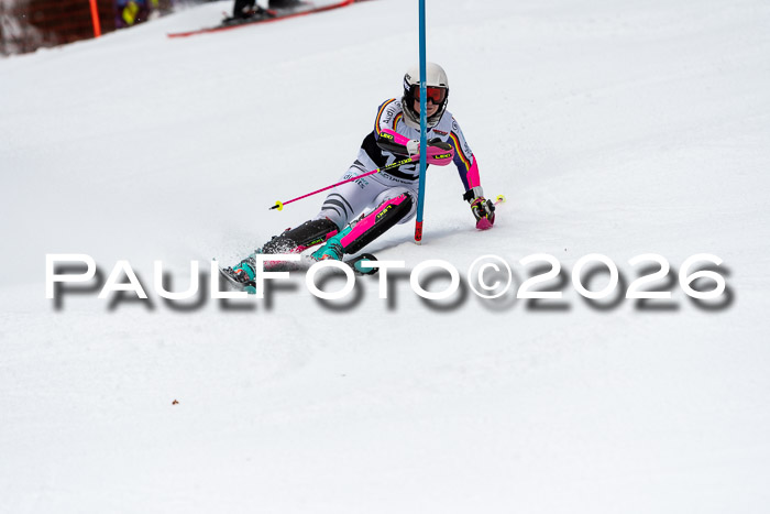 FIS Slalom + NJC Damen + FIS Herren 13.02.2026