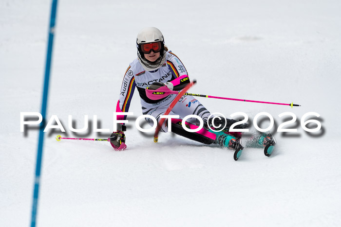 FIS Slalom + NJC Damen + FIS Herren 13.02.2026