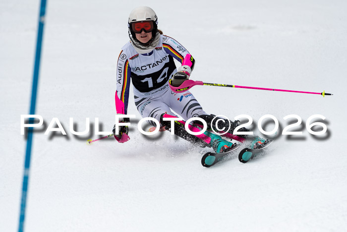 FIS Slalom + NJC Damen + FIS Herren 13.02.2026
