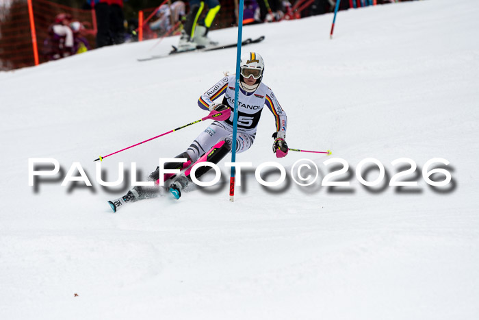 FIS Slalom + NJC Damen + FIS Herren 13.02.2026