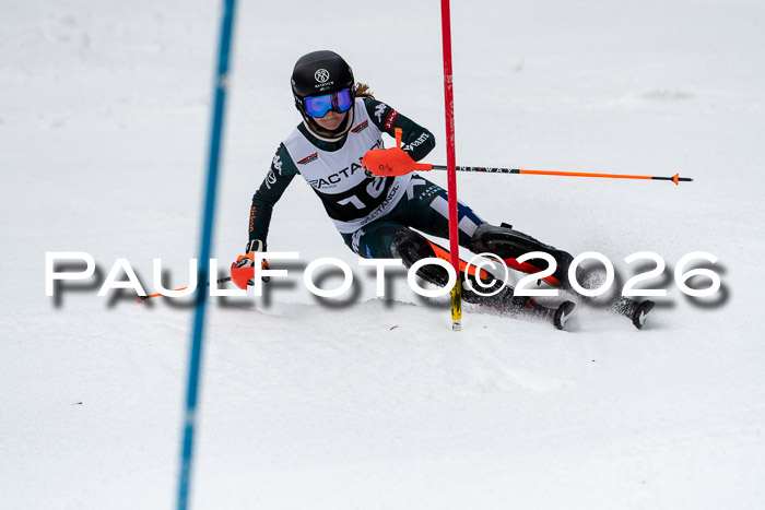 FIS Slalom + NJC Damen + FIS Herren 13.02.2026
